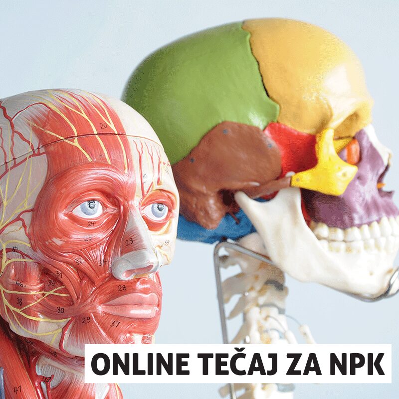 Anatomija in fiziologija